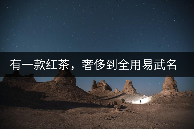 有一款紅茶，奢侈到全用易武名寨古樹茶發(fā)酵！