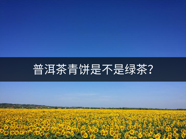 普洱茶青餅是不是綠茶？