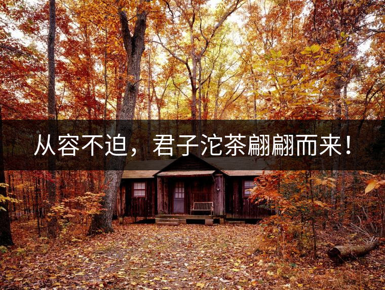 從容不迫，君子沱茶翩翩而來！