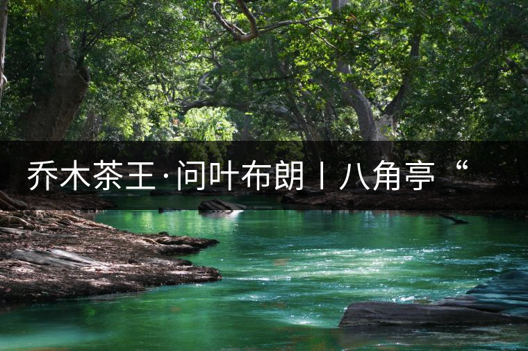 喬木茶王·問葉布朗〡八角亭“問葉布朗”踏春上市