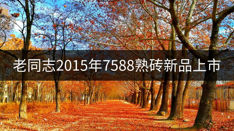 老同志2015年7588熟磚新品上市