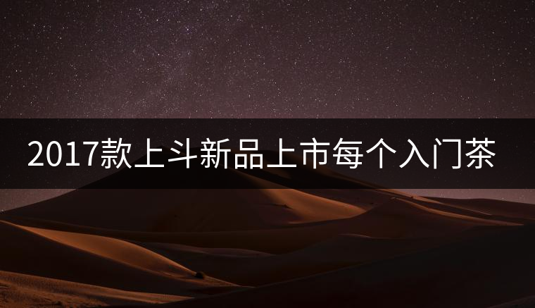 2017款上斗新品上市每個入門茶人都欠自己一餅上斗！