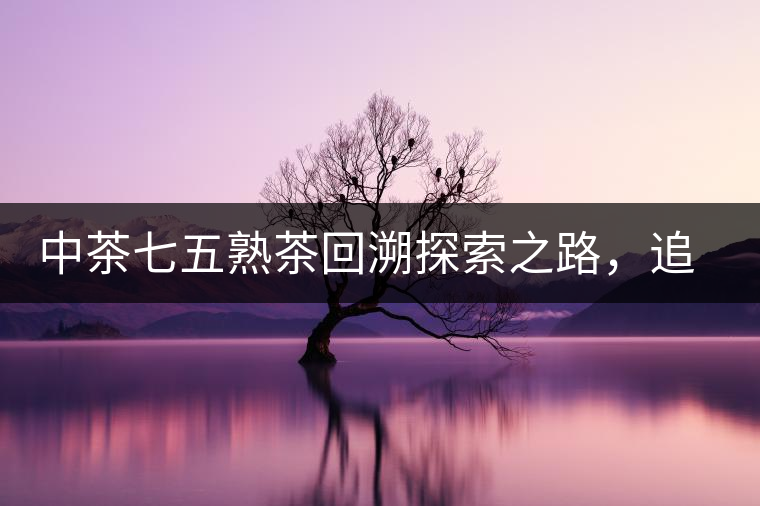 中茶七五熟茶回溯探索之路，追尋歷史印跡