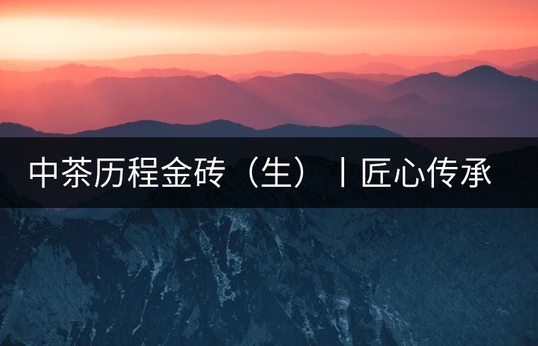 中茶歷程金磚（生）丨匠心傳承，精品迭出