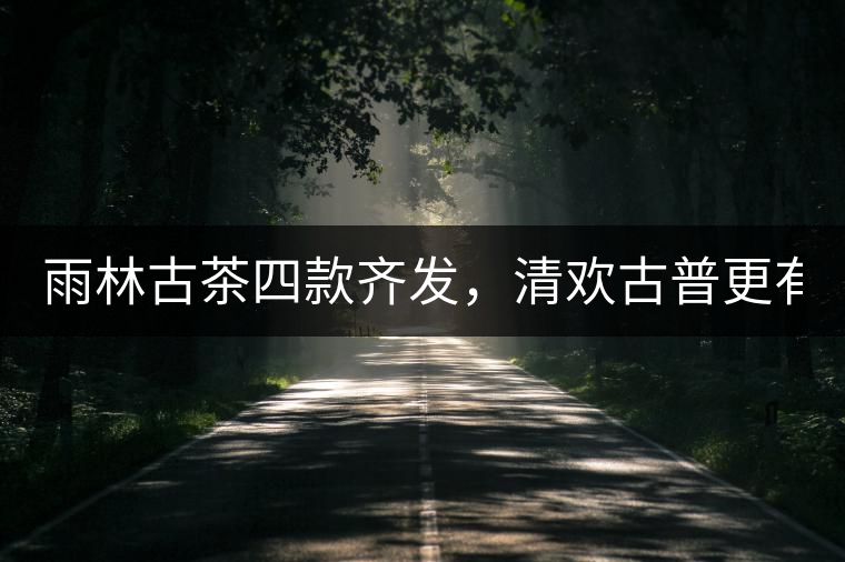 雨林古茶四款齊發(fā)，清歡古普更有味！