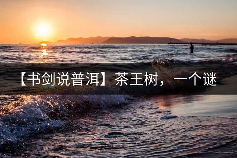 【書劍說(shuō)普洱】茶王樹，一個(gè)謎一樣的地方