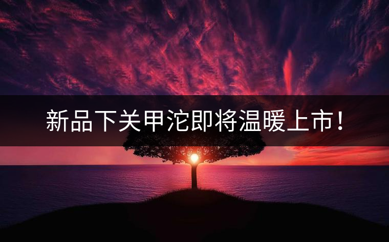 新品下關(guān)甲沱即將溫暖上市！