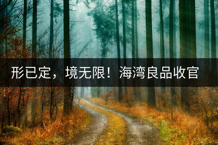 形已定，境無(wú)限！海灣良品收官季『良禪品』