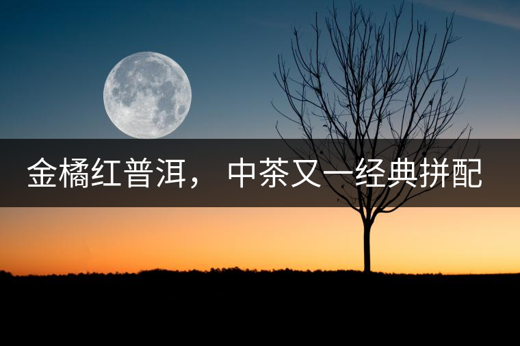 金橘紅普洱， 中茶又一經(jīng)典拼配力作，值得期待！