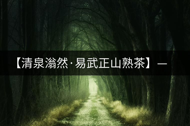 【清泉滃然·易武正山熟茶】——熨帖冬季的寒冷，來的正是時(shí)候！