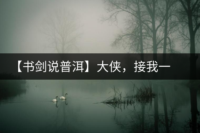 【書劍說普洱】大俠，接我一棒