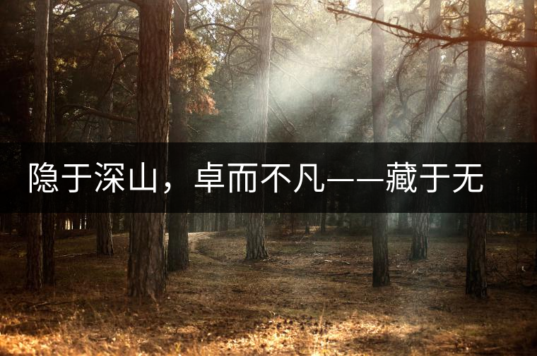 隱于深山，卓而不凡——藏于無量余脈的困鹿貢香