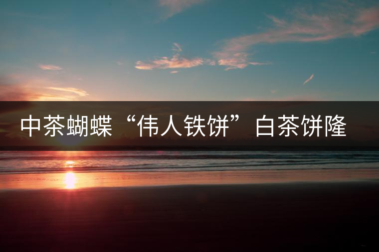 中茶蝴蝶“偉人鐵餅”白茶餅隆重上市