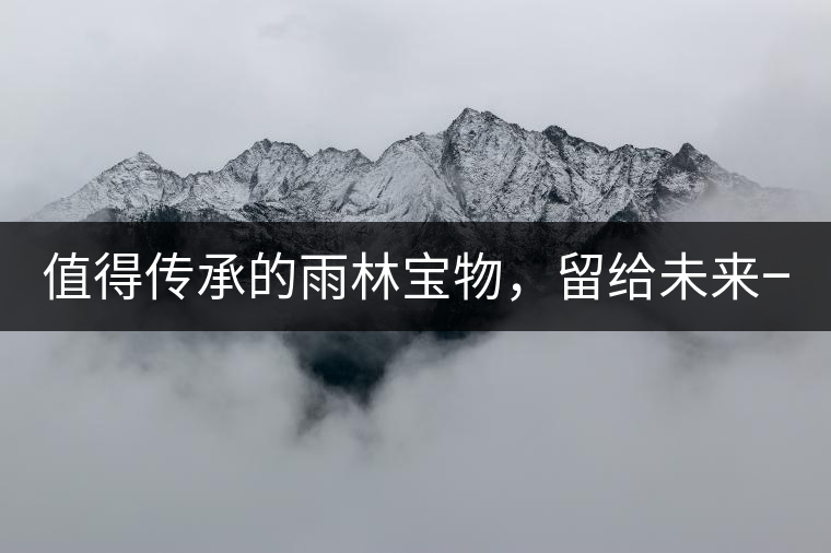 值得傳承的雨林寶物，留給未來一點(diǎn)“回甘”！