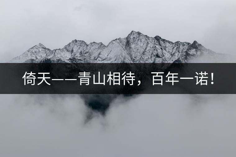 倚天——青山相待，百年一諾！