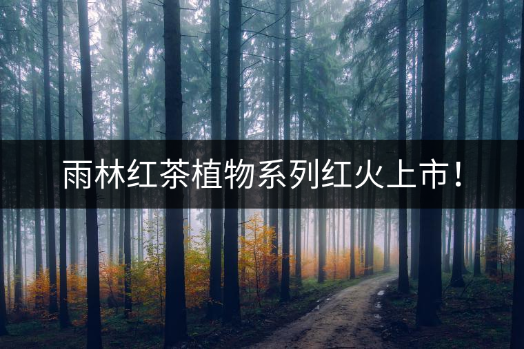 雨林紅茶植物系列紅火上市！