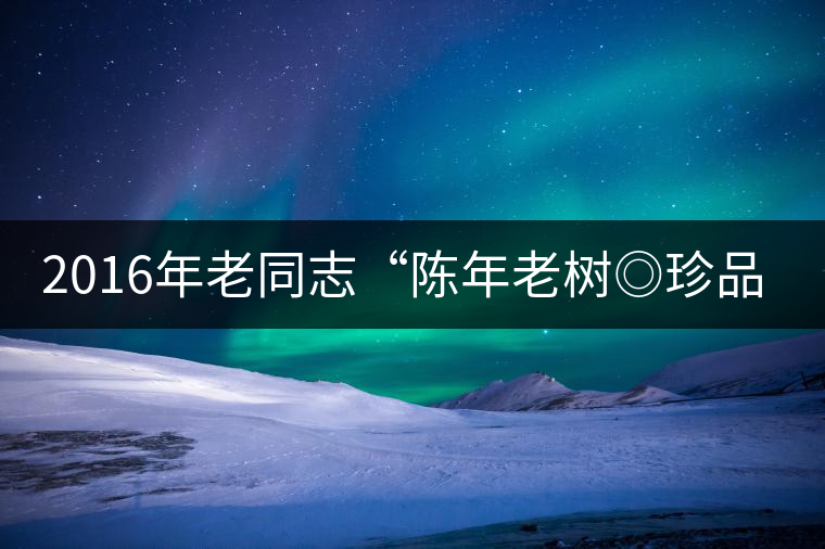 2016年老同志“陳年老樹◎珍品普洱”隆重上市！