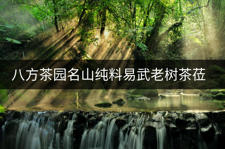 八方茶園名山純料易武老樹茶蒞臨