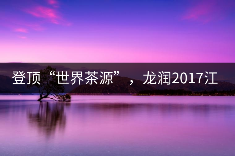 登頂“世界茶源”，龍潤2017江城茶上市啦！