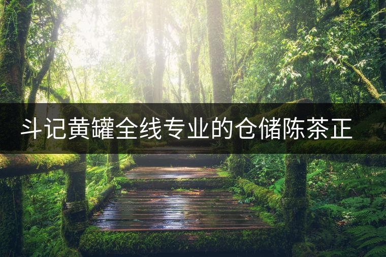 斗記黃罐全線專業(yè)的倉儲(chǔ)陳茶正式上市