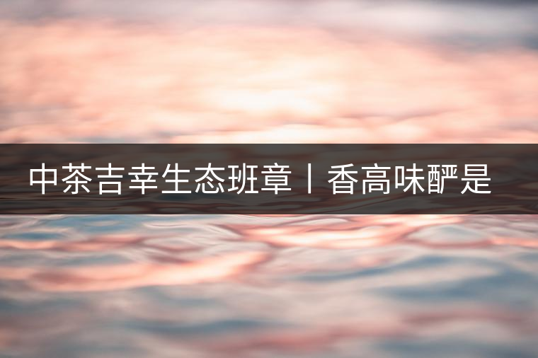 中茶吉幸生態(tài)班章丨香高味釅是王者，且品且珍惜