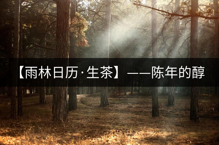 【雨林日歷·生茶】——陳年的醇，老料的香！