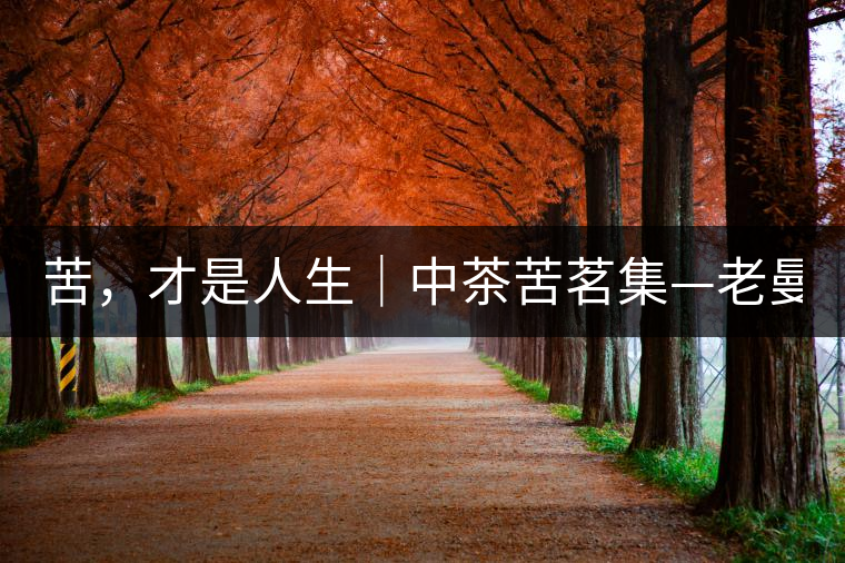 苦，才是人生｜中茶苦茗集—老曼峨普洱茶（生茶）