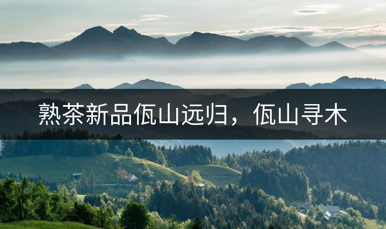 熟茶新品佤山遠(yuǎn)歸，佤山尋木