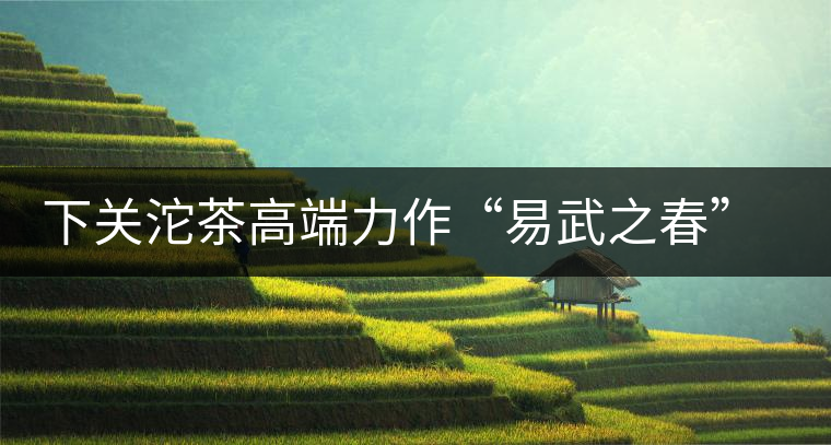 下關(guān)沱茶高端力作“易武之春”即將上市 下關(guān)沱茶高端力作“易武之春”即將上市