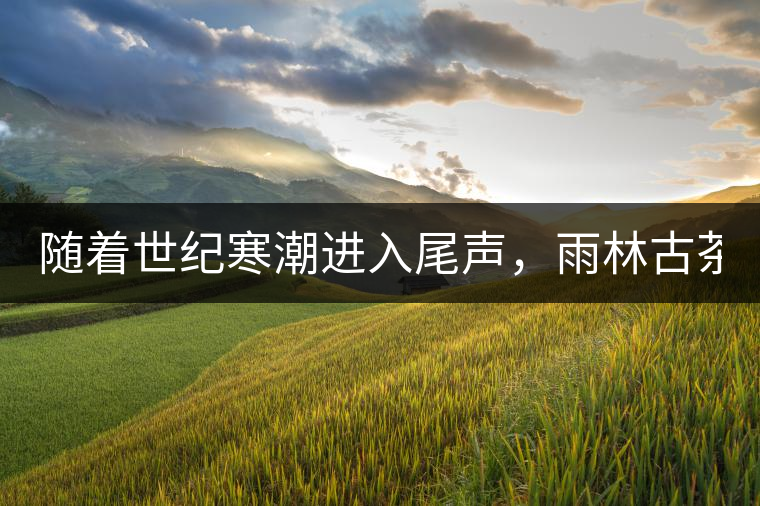 隨著世紀(jì)寒潮進(jìn)入尾聲，雨林古茶坊