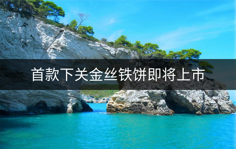 首款下關金絲鐵餅即將上市 首款下關金絲鐵餅即將上市