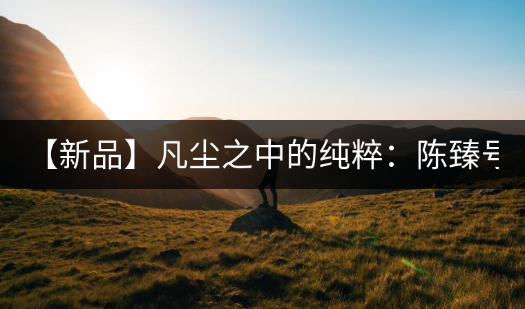 【新品】凡塵之中的純粹：陳臻號(hào)2016年精品青餅即將上市！