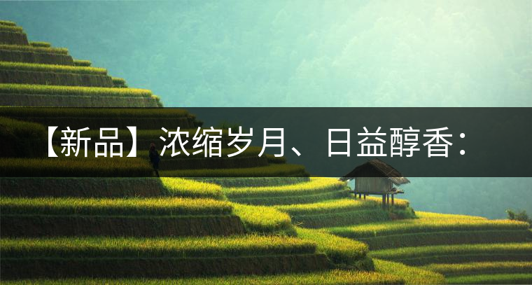 【新品】濃縮歲月、日益醇香：陳臻號(hào)陳品熟餅即將上市！