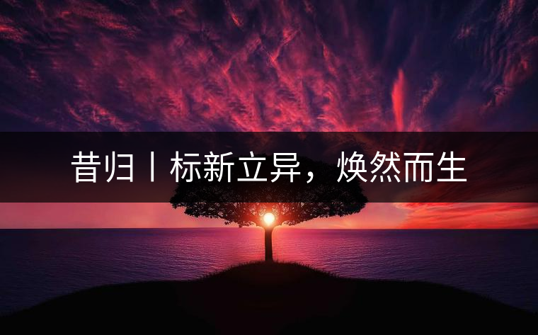 昔歸丨標(biāo)新立異,煥然而生 昔歸丨標(biāo)新立異,煥然而生