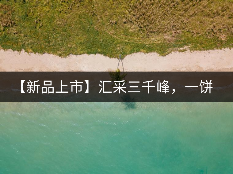 【新品上市】匯采三千峰，一餅群山鑄——群峰之峻！