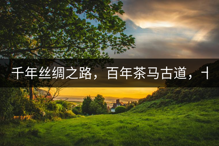 千年絲綢之路，百年茶馬古道，十年尋茶之旅，鑄造Puertea（十年紀(jì)念茶）