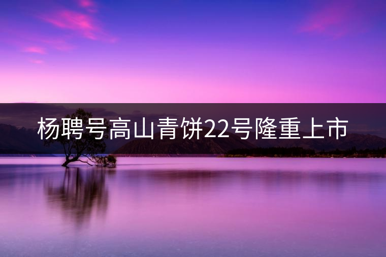 楊聘號高山青餅22號隆重上市 楊聘號高山青餅22號隆重上市