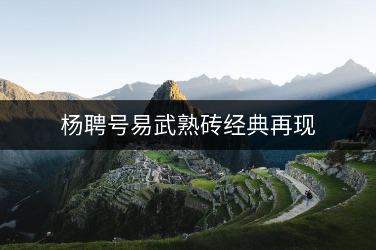 楊聘號(hào)易武熟磚經(jīng)典再現(xiàn) 楊聘號(hào)易武熟磚經(jīng)典再現(xiàn)