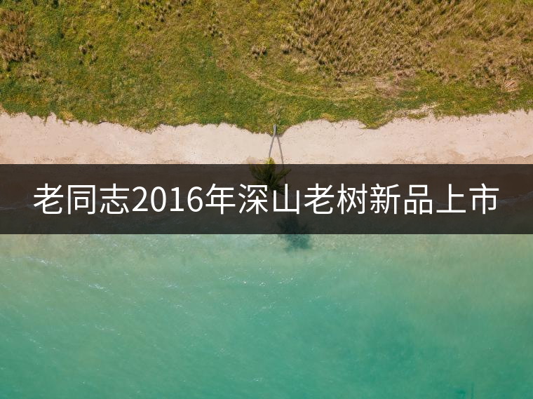 老同志2016年深山老樹新品上市