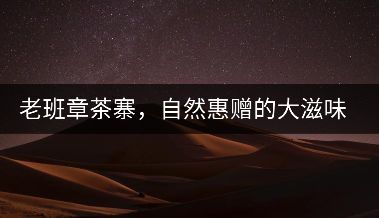 老班章茶寨，自然惠贈(zèng)的大滋味，大滿足