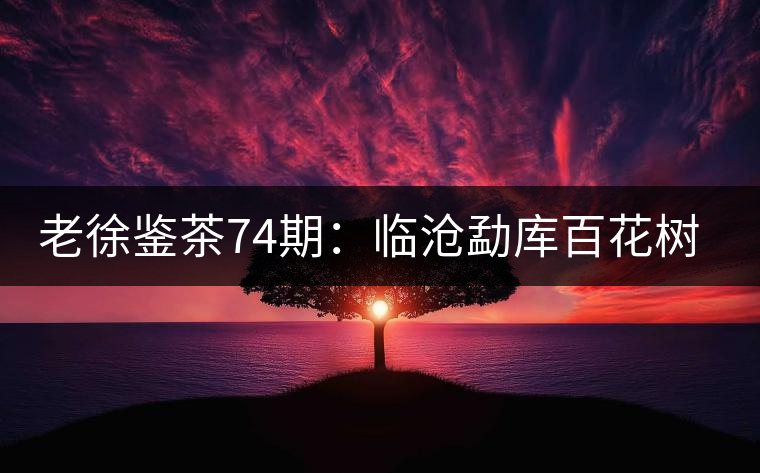 老徐鑒茶74期：臨滄勐庫百花樹混采古樹茶品鑒報(bào)告（北京茶友寄）