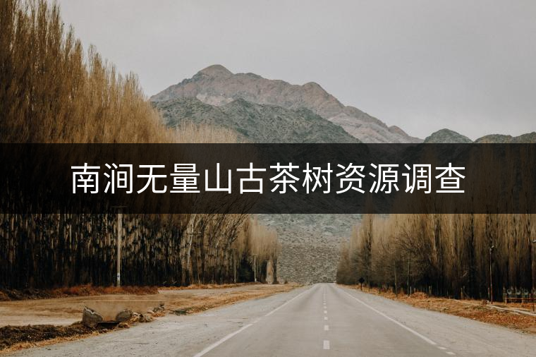 南澗無量山古茶樹資源調(diào)查 南澗無量山古茶樹資源調(diào)查