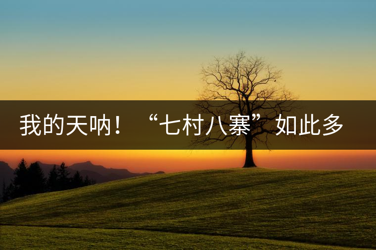我的天吶！“七村八寨”如此多的易武茶，品質(zhì)特色如何分辨？