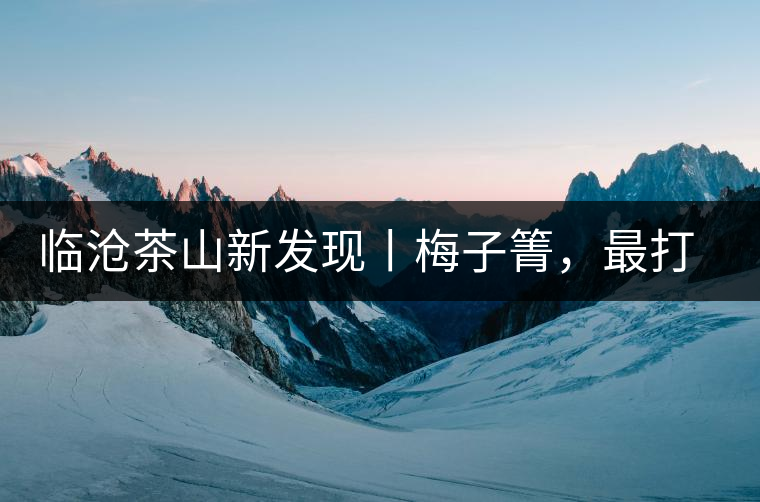 臨滄茶山新發(fā)現(xiàn)丨梅子箐，最打動自己的茶山