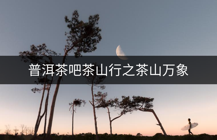 普洱茶吧茶山行之茶山萬(wàn)象