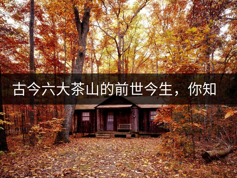 古今六大茶山的前世今生，你知多少？