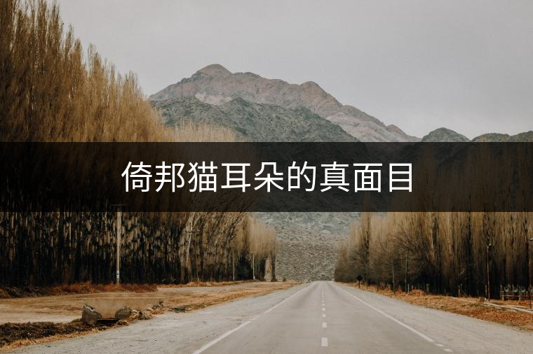 倚邦貓耳朵的真面目 倚邦貓耳朵的真面目