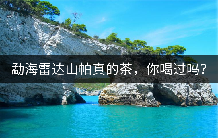 勐海雷達(dá)山帕真的茶，你喝過(guò)嗎？