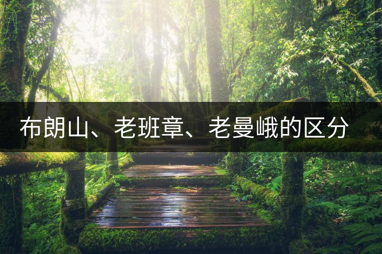 布朗山、老班章、老曼峨的區(qū)分和鑒別