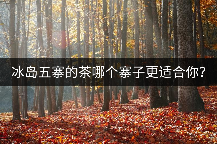 冰島五寨的茶哪個(gè)寨子更適合你？